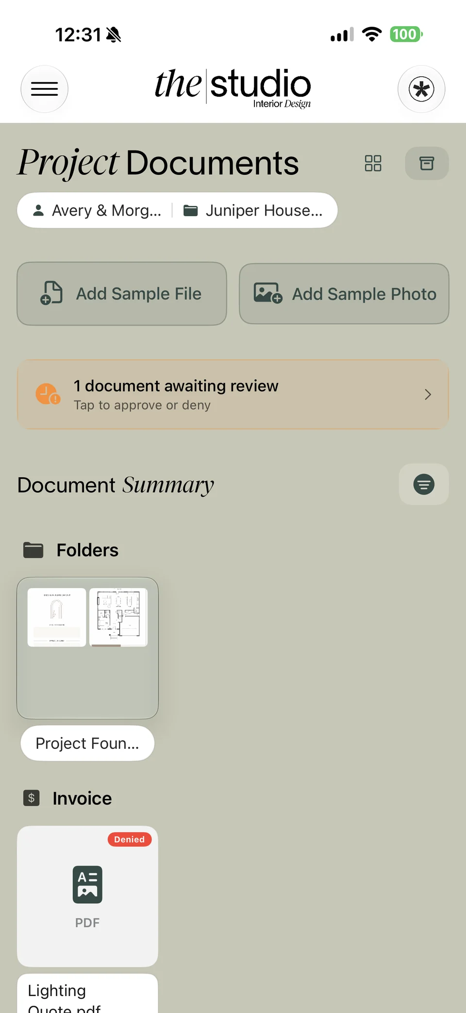 Designer document workspace showing review status, folders, and project files